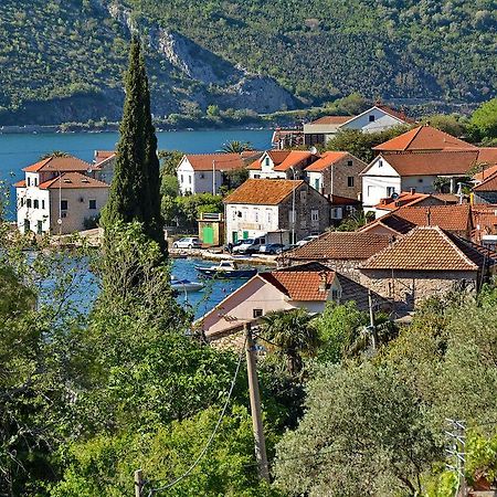 Apartments Dinko Zifra Tivat Eksteriør billede