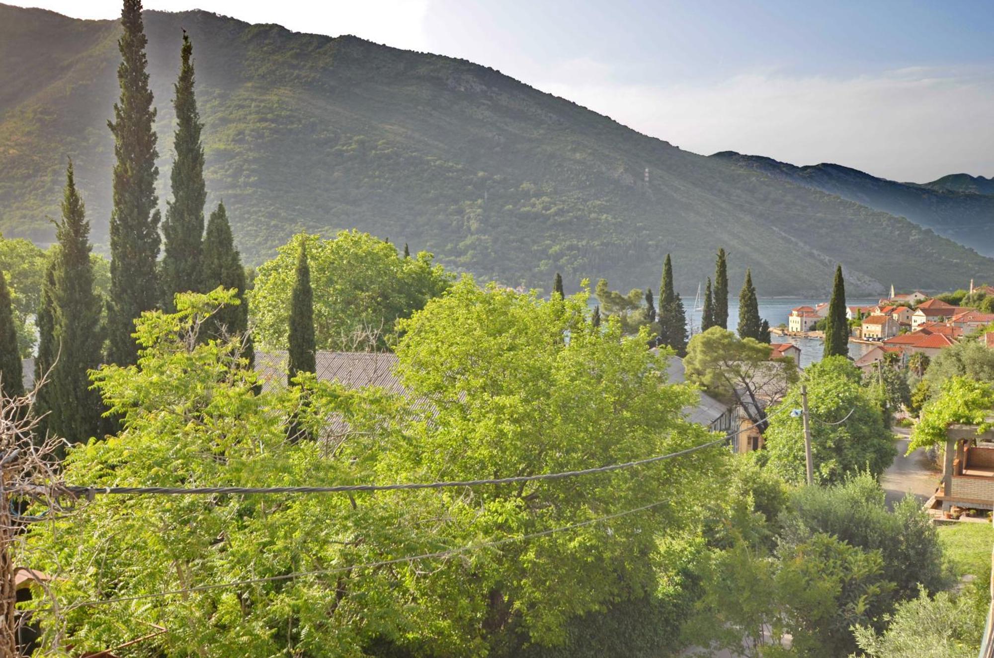 Apartments Dinko Zifra Tivat Værelse billede